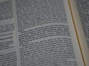 Photo kožešinovou vestu